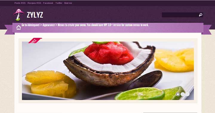 Zylyz Food Blog WordPress Themes
