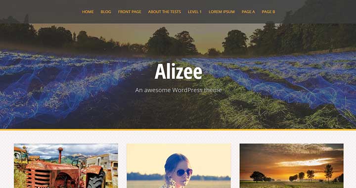 Alizee Masonry WordPress Theme