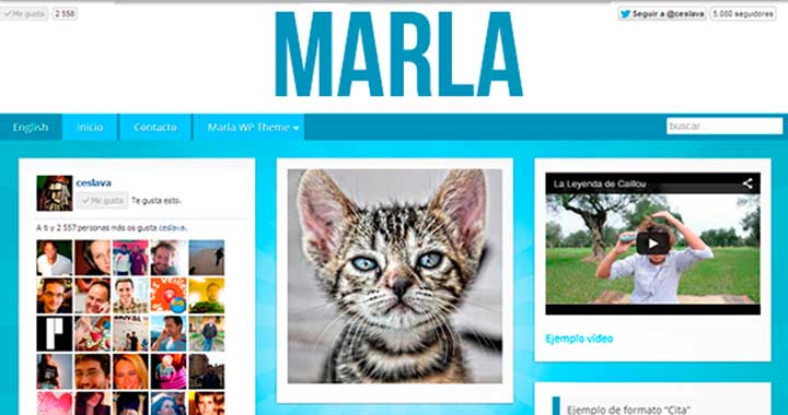 Marla WordPress Pinterest Themes