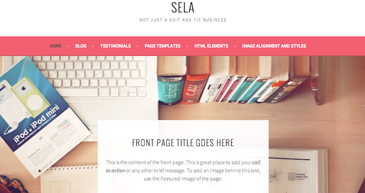 Sela Free WordPress Blog Themes