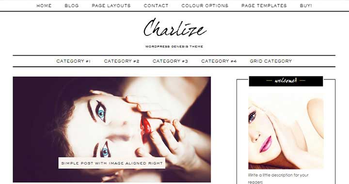Charlize Free WordPress Blog Themes 2015