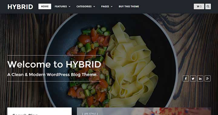 Hybrid WordPress Blog Theme
