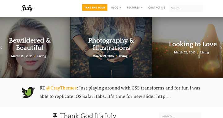 July WordPress Blog Themes 2015