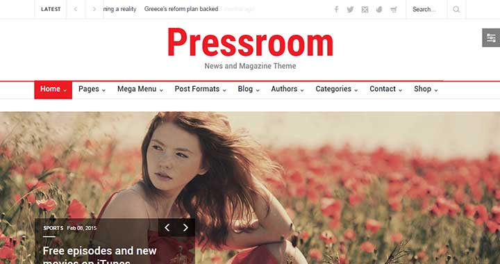 Pressroom Best WordPress Magazine Themes