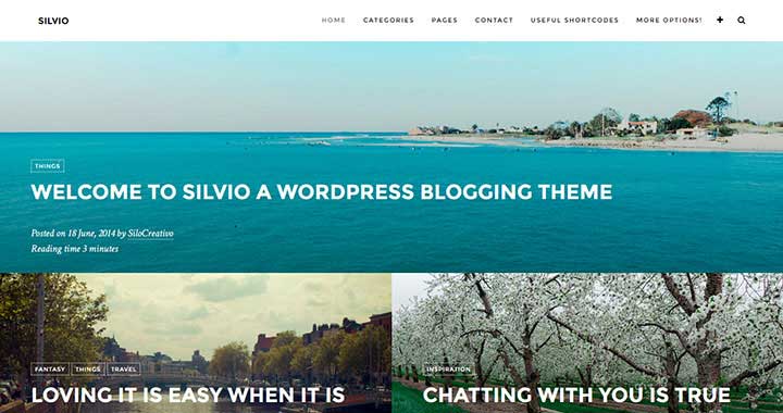 Silvio WordPress Theme Blog