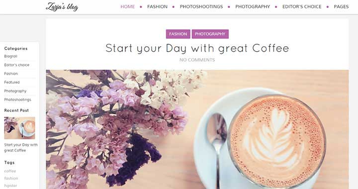 Zarja Premium WordPress Blog Themes