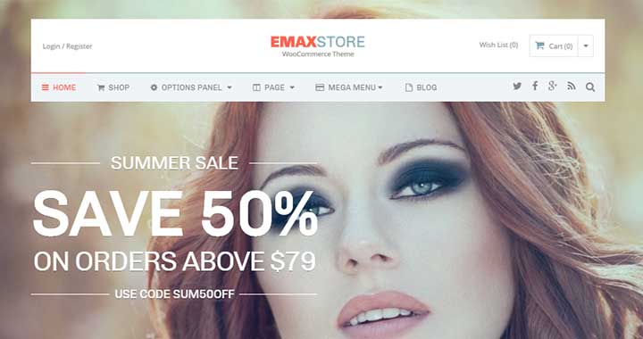 eMaxStore WordPress ecommerce Theme