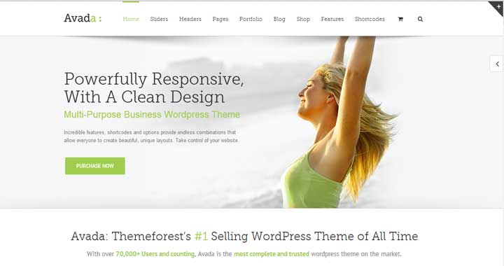 Avada Multi Purpose top 10 wordpress themes