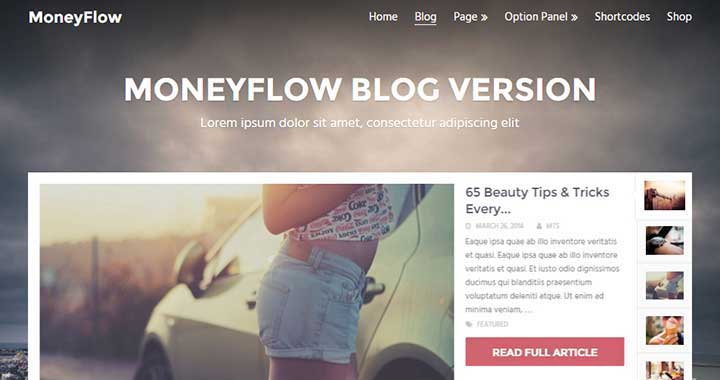 MoneyFlow Best Rtl WordPress Themes