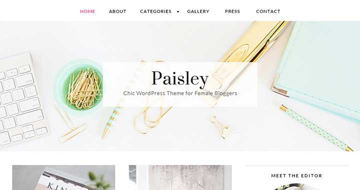 Paisley New WordPress Theme July 2015