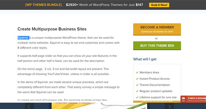 Squirrel intuitive corporate theme