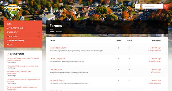 TownPress Forum WordPress Themes