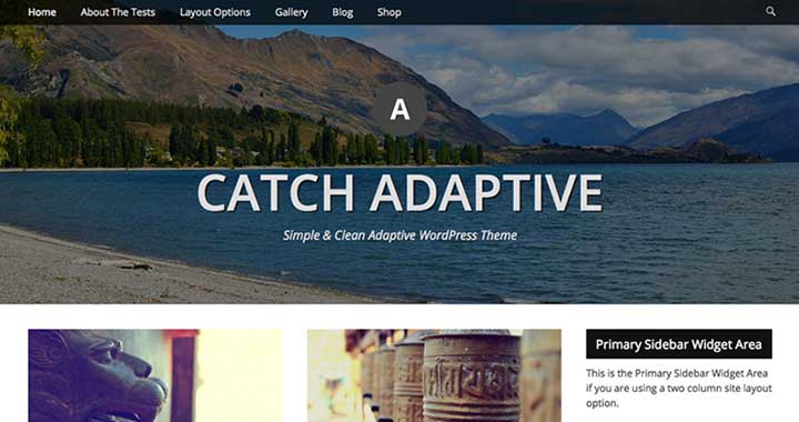 Catch Adaptive new wp theme august 2015