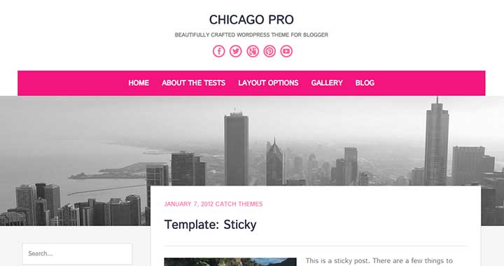 Chicago Pro wordpress 2 column themes free