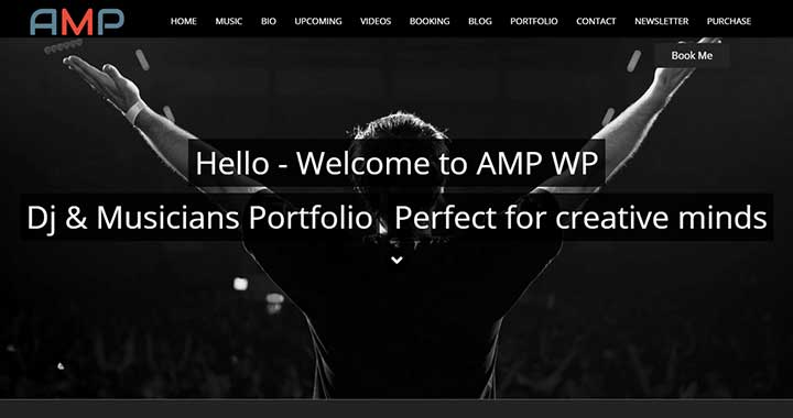 AMP wordpress music magazine themes