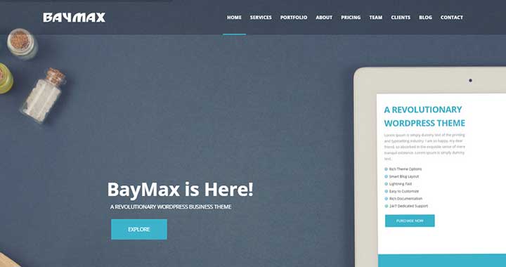 BayMax WordPress e-commerce themes for small business