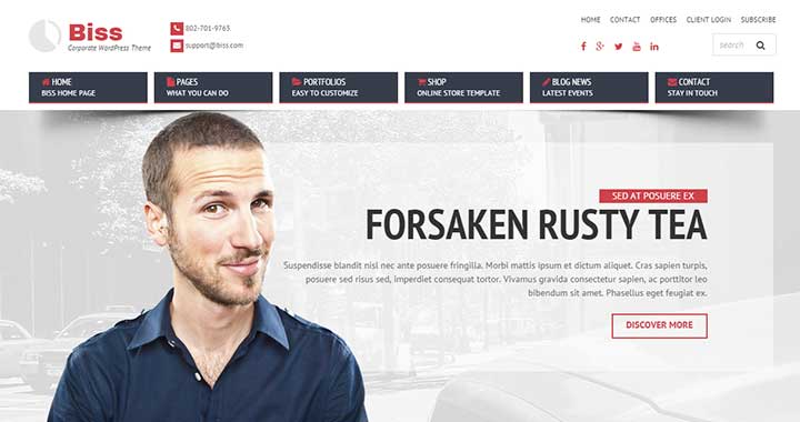 Biss WordPress template for business website
