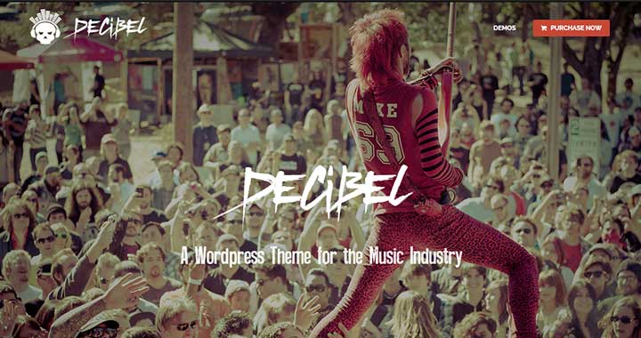 Decibel premium wordpress themes music blog