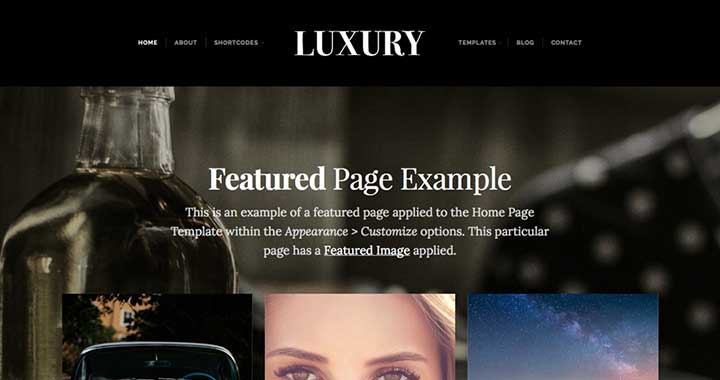 Luxury wp free themes