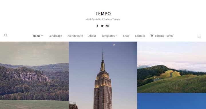 Tempo wordpress new themes