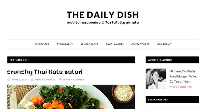 Daily Dish SEO optimized WordPress theme