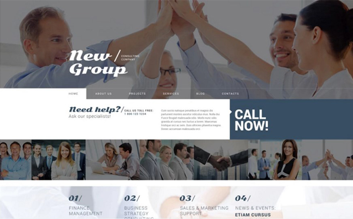 Free WordPress Theme for Consulting Firm